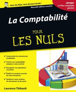 Download Comptabilité Pour les Nuls, 2e édition (French Edition) pdf, epub, ebook