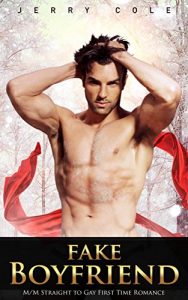 Download Fake Boyfriend: M/M Straight to Gay First Time Romance pdf, epub, ebook