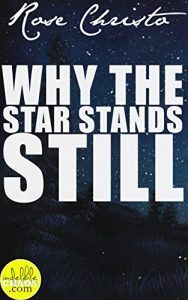 Download Why the Star Stands Still (Gives Light Series Book 4) pdf, epub, ebook