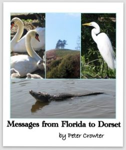 Download Messages from Florida to Dorset pdf, epub, ebook