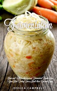 Download Fermentation: How and Why to Incorporate Fermented Foods Into Your Diet Today For a Healthier Gut and Body (Healthy Body, Healthy Mind) pdf, epub, ebook