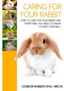 Download Caring For Your Rabbit: How to care for your Rabbit and everything you need to know to keep them well pdf, epub, ebook