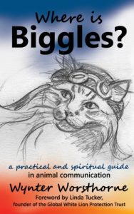 Download Where is Biggles? pdf, epub, ebook