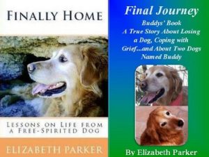 Download Books About Dogs: Finally Home and Final Journey- The Buddy Book Collection pdf, epub, ebook