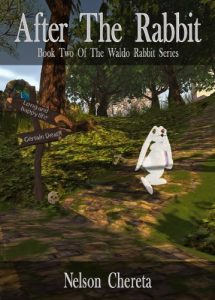 Download After The Rabbit: Book Two Of The Waldo Rabbit Series pdf, epub, ebook