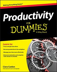 Download Productivity For Dummies pdf, epub, ebook