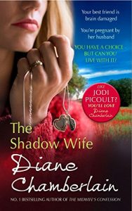 Download The Shadow Wife pdf, epub, ebook
