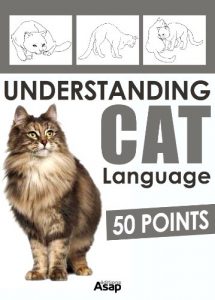 Download Understanding Cat Language – 50 Points pdf, epub, ebook