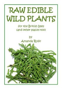 Download Raw Edible Wild Plants for the British Isles (and other places too) pdf, epub, ebook