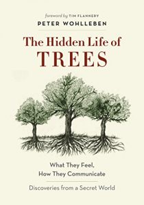 Download The Hidden Life of Trees: What They Feel, How They Communicate—Discoveries from a Secret World pdf, epub, ebook