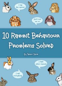 Download 10 Rabbit Behaviour Problems Solved pdf, epub, ebook