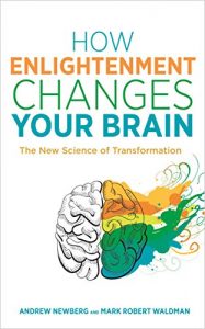 Download How Enlightenment Changes Your Brain: The New Science of Transformation pdf, epub, ebook