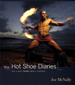 Download The Hot Shoe Diaries: Big Light from Small Flashes (Voices That Matter) pdf, epub, ebook