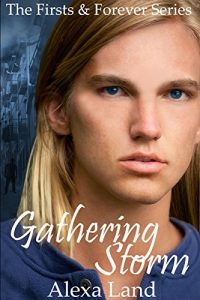 Download Gathering Storm (The Firsts and Forever Series Book 4) pdf, epub, ebook