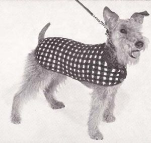 Download His Majesty Knitted Dog Blanket Coat Sweater Knitting Pattern Sizes 12 thru 18 pdf, epub, ebook