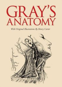 Download Gray’s Anatomy: With Original Illustrations by Henry Carter pdf, epub, ebook