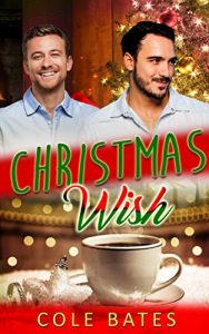 Download Gay: Christmas Wish pdf, epub, ebook