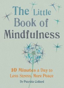 Download The Little Book of Mindfulness: 10 minutes a day to less stress, more peace (MBS Little book of…) pdf, epub, ebook