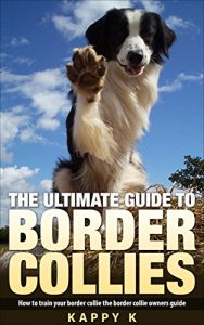 Download The Ultimate Guide To Border Collies: How to Train Your Border Collie the Border Collie Owners Guide (Dog Training Guide, Border Collies) pdf, epub, ebook