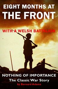 Download Nothing of Importance: EIGHT MONTHS AT THE FRONT WITH A WELSH BATTALION pdf, epub, ebook