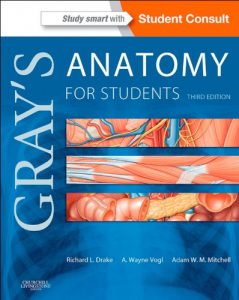 Download Gray’s Anatomy for Students pdf, epub, ebook