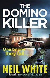 Download The Domino Killer (Joe & Sam Parker 3) pdf, epub, ebook