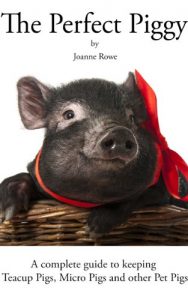 Download The Perfect Piggy: A guide to keeping Teacup Pigs, Micro Pigs and other Pet Pigs pdf, epub, ebook