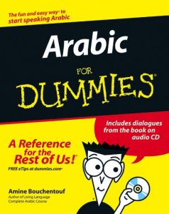 Download Arabic For Dummies pdf, epub, ebook