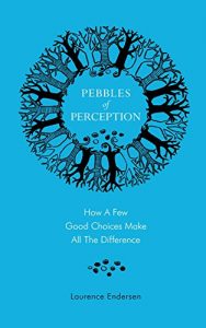 Download Pebbles of Perception: How a Few Good Choices Make All The Difference pdf, epub, ebook