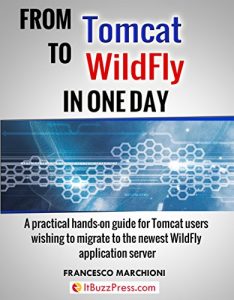 Download From Tomcat to WildFly in one day pdf, epub, ebook