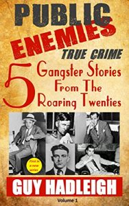 Download Public Enemies: 5 True Crime Gangster Stories from the Roaring Twenties(Vol 1) pdf, epub, ebook