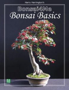 Download Bonsai4me: Bonsai Basics pdf, epub, ebook
