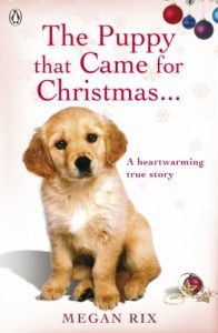 Download The Puppy that Came for Christmas and Stayed Forever pdf, epub, ebook