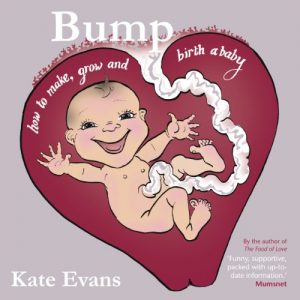 Download Bump: How to make, grow and birth a baby pdf, epub, ebook