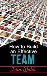 Download How to Build an Effective Team pdf, epub, ebook