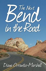 Download The Next Bend in the Road pdf, epub, ebook