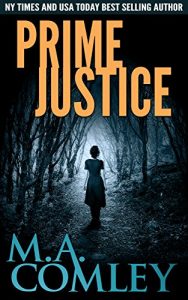 Download Prime Justice (Justice series Book 14) pdf, epub, ebook