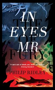 Download In the Eyes of Mr Fury pdf, epub, ebook