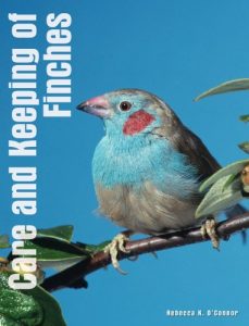 Download Care and Keeping of Finches pdf, epub, ebook