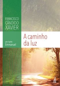 Download A Caminho da Luz (Portuguese Edition) pdf, epub, ebook