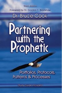 Download Partnering With The Prophetic: Portfolios, Protocols, Patterns & Processes pdf, epub, ebook