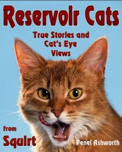 Download Reservoir Cats: True Stories and Cat’s Eye Views from Squirt pdf, epub, ebook