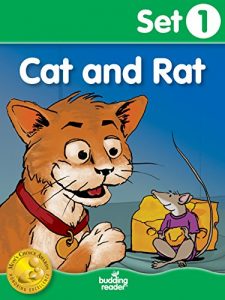 Download Budding Reader Book Set 1: Cat and Rat pdf, epub, ebook