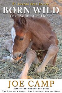 Download Born Wild – The Soul of a Horse pdf, epub, ebook