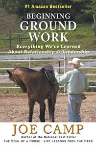 Download BEGINNING GROUND WORK: Everything We’ve Learned about Relationship & Leadership pdf, epub, ebook