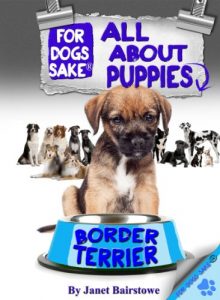 Download All About Border Terrier Puppies pdf, epub, ebook