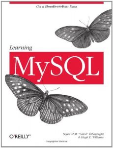 Download Learning MySQL: Get a Handle on Your Data pdf, epub, ebook