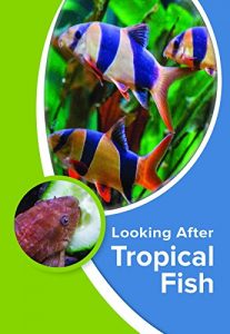 Download Looking After Tropical Fish pdf, epub, ebook