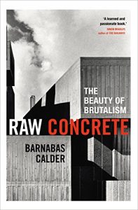 Download Raw Concrete: The Beauty of Brutalism pdf, epub, ebook