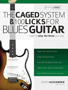 Download The Caged System and 100 Licks for Blues Guitar: Complete With 1 hour of Audio Examples: Master Blues Guitar (Play Blues Guitar Book 5) pdf, epub, ebook